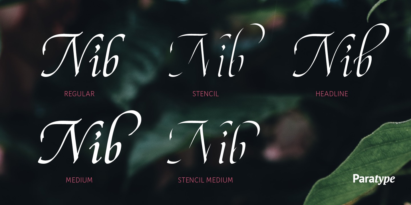 Reed Regular Font preview